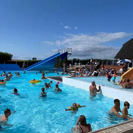 Exclusive From 2024 Near The אסנס